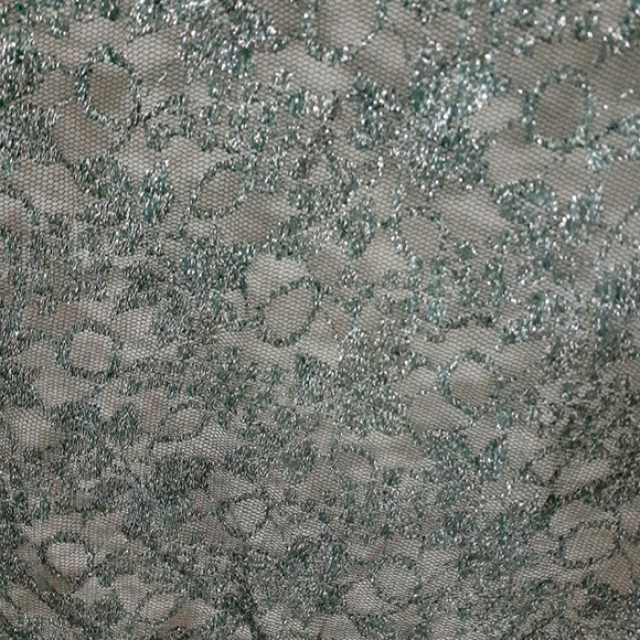 Dark Green Lace on Black Net Pre-Pleated Saree - Picture 3 of 4